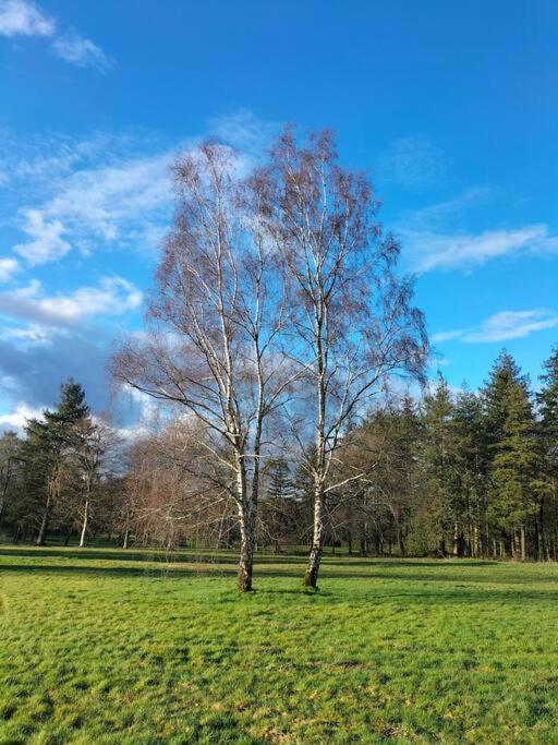 Le Jardin Medicis Avec Spa Privatif Tredion Esterno foto